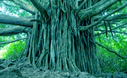 �P(gu��n)�ڴ������ļ��\15ƪ