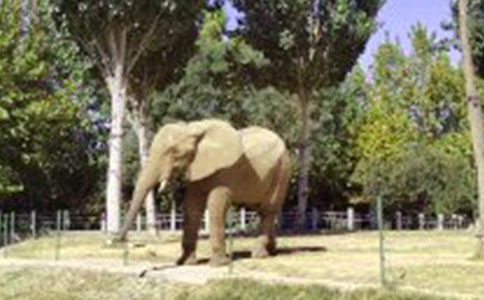 ��������꼉�ԿƌW�̌W����Ӌ����ͨ��16ƪ��