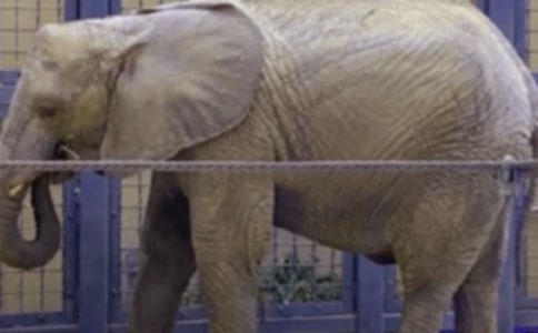 ���������ͯԒ����