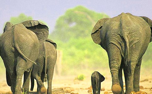 ���ĵĴ�������200�ִ�ȫ