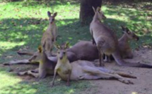 ����w����ӡ��{(di��o)Ƥ��С���󡷽̰���ͨ��10ƪ��