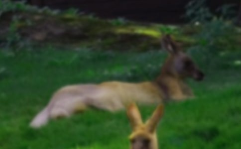 �w���Α�������̰�����