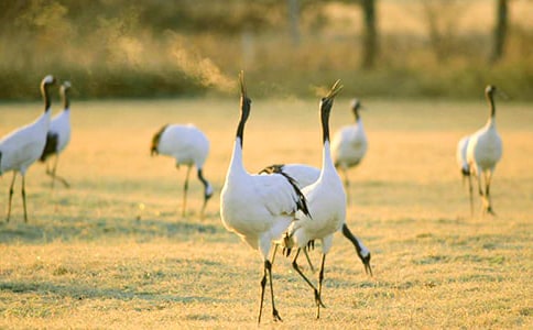 ��(zh��)�̡������ĵ���Q�����cʧ