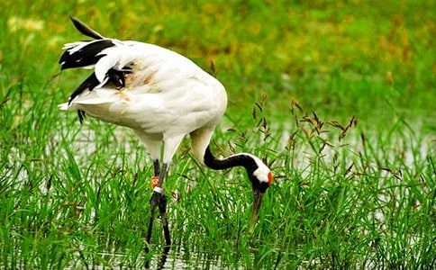 �����ĵ���Q750������ 