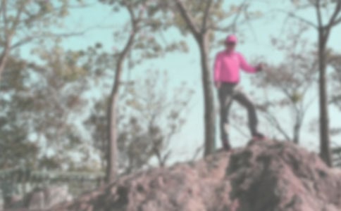 �����]��������ɽ��ӷ���15ƪ