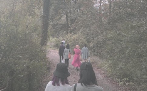 五一登山活動方案