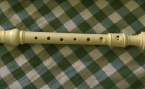 我以笛子為知己初一作文650字