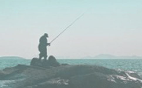 �P(gu��n)����~�Ĕ�������