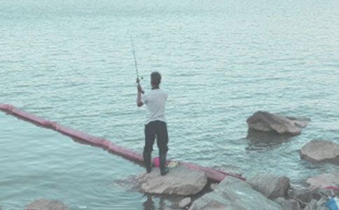 (�؂�)��~��������