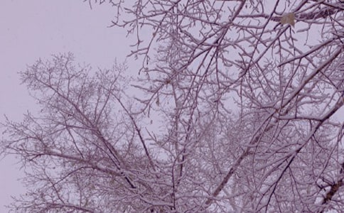 ������Ĝ�ů���ļ��\��15ƪ��