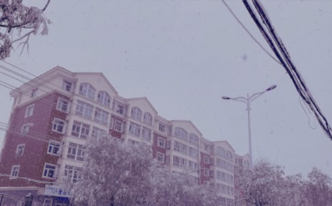 �������һ�|�(y��ng)������800�֣�ͨ��55ƪ��