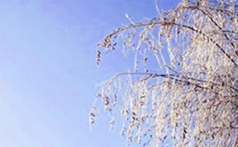 大班冬天教學(xué)活動(dòng)實(shí)施方案通用