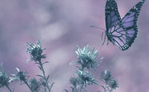 �^���ֲ�����ģ�ͨ��22ƪ��