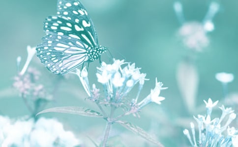 �^���ֲ����ӛ��ͨ��57ƪ��