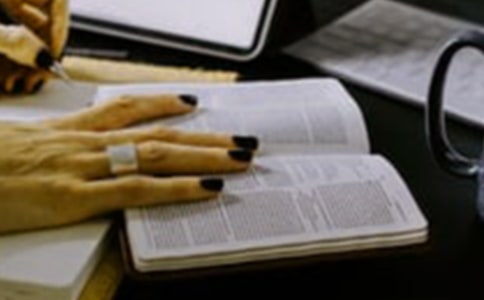 《遇見(jiàn)未知的自己》讀后感范文1000字