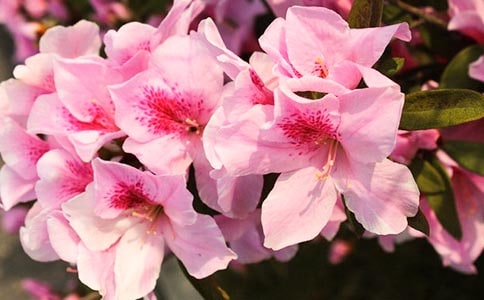 [���]]���N��������