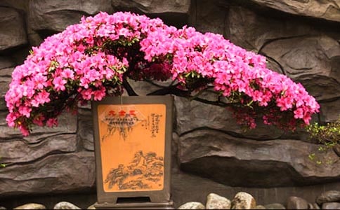 �^����ӛֲ����N��