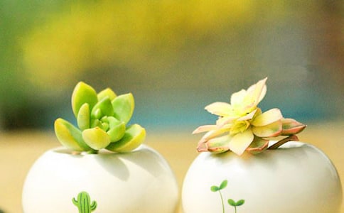 �����^����ӛ(15ƪ)