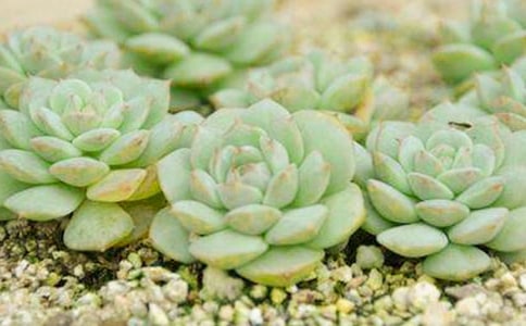 �����^����ӛ