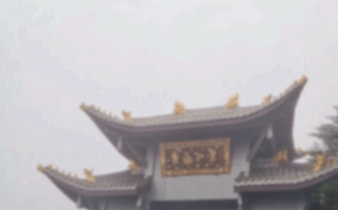 峨眉山游記作文通用15篇