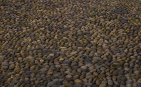 我是一顆鵝卵石想象作文