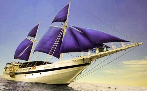 中班美術小帆船教案(通用5篇)