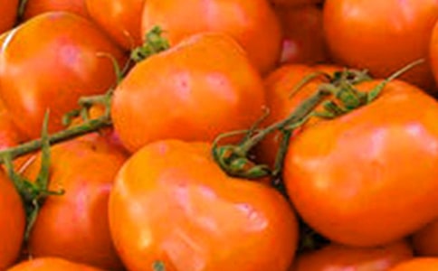 �P(gu��n)�ڷ��ѵ�����