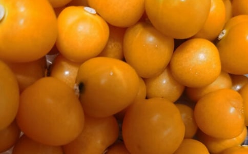 ���ѵ�������������ȫ�����ӵ�