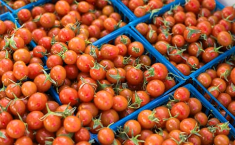 ����ţβ�ǜ������������ӵ�