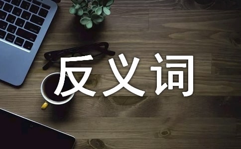 24互為反義詞的成語(yǔ)