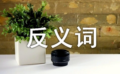 依然的近義詞和反義詞_依然詞語造句大全