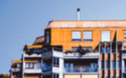 小狗的房子讀后感(通用14篇)