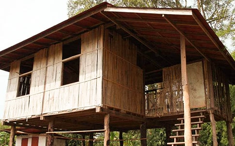 δ���ķ�������800��