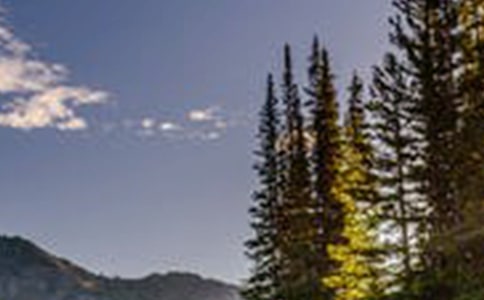 �������L��