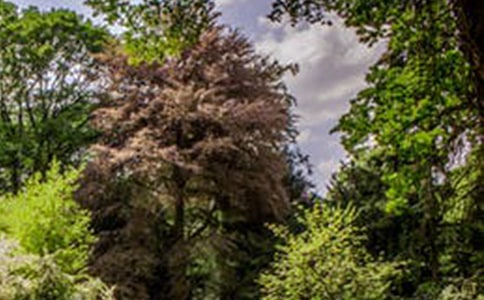 木蘭古門山風(fēng)景區(qū)導(dǎo)游詞