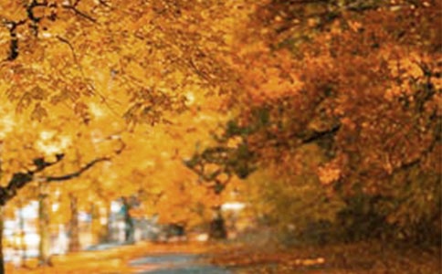 ���L(f��ng)����Ԓ�}������