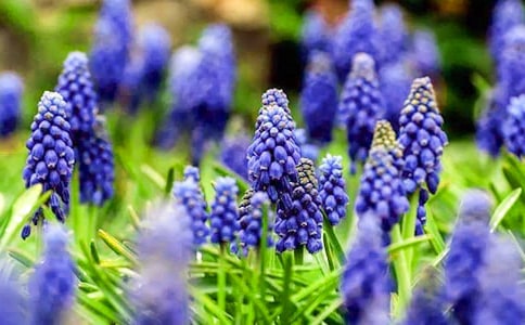 ������L���Ӄ�(y��u)������