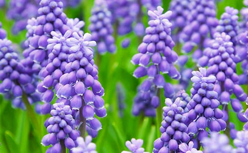 �L(f��ng)��������