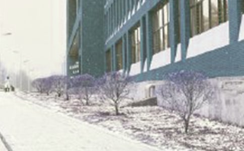 �����ڱ��L(f��ng)ѩ�еĐ�(��i)_3000��