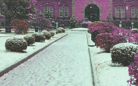 һ·�g�裬�L(f��ng)ѩ�d;����600�֣����x19ƪ��