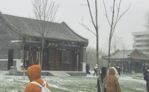 風(fēng)雪不歸人作文