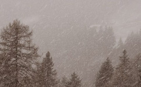 �|�L(f��ng)ѩ�F��C5�����L�y�A�ο��Y(ji��)����һ�أ� -���깤�����Y(ji��)