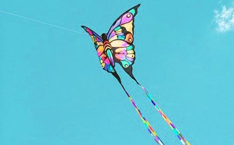 秋天放風(fēng)箏作文(精選25篇)