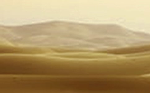 �M�Ͻ����½��ɺ��؅^(q��)���҃�(n��i)�ԷN���z���D(zhu��n)��