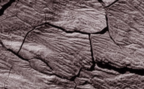 干旱送水簡報(10篇)