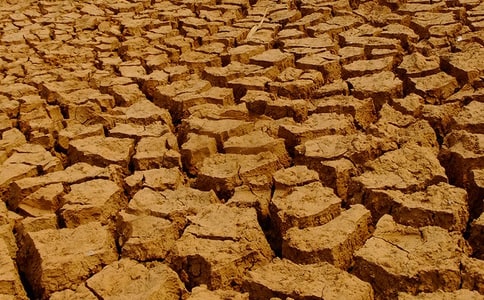 ��ͬ�иɺ�������������������