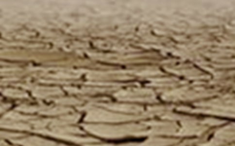 ������λ�Į���͸ɺ��ջ�ӷ���