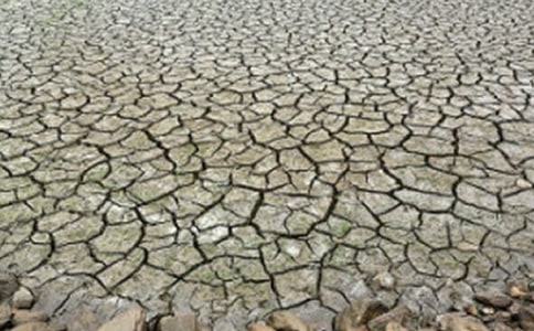 吉林省西部半干旱區(qū)夏季降水與暴雨時(shí)空規(guī)律研究