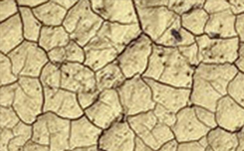 �ɺ��^(q��)ֲ�����w�ȵĽ��O(sh��)�ֵ����