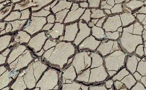 ��ɺ��^(q��)��������̼?x��)����z�������Ե��^�y�о�